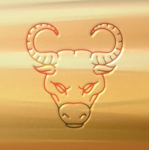 Meet your Posher, Levi